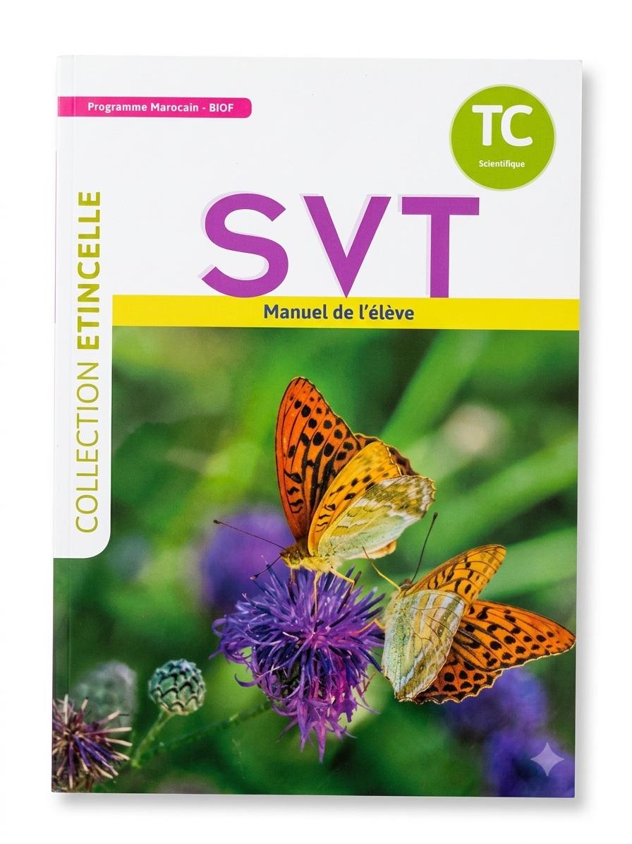 Étincelle Svt Tc