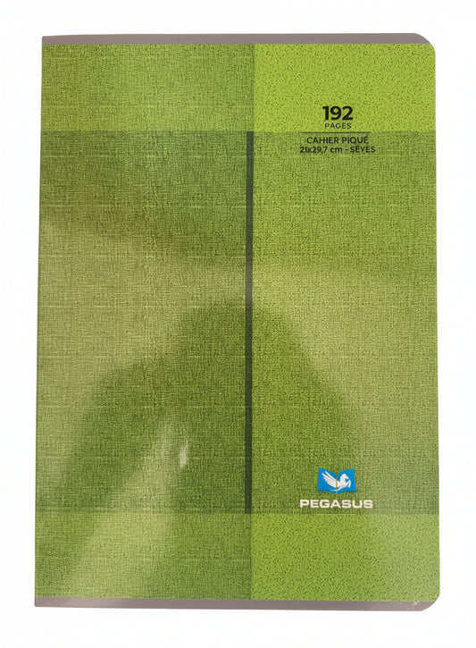 Cahier 192p A4 10x10 Pegasus